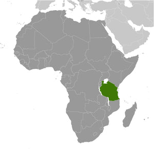 Tanzania Mbeya Peaberry